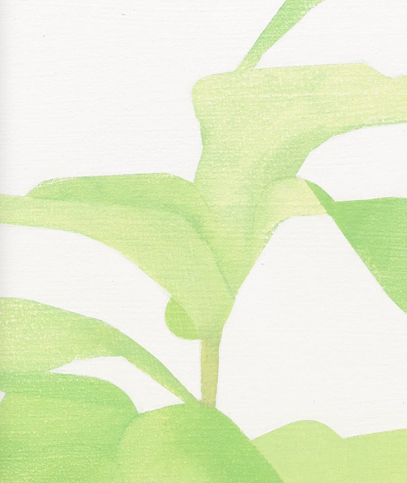 Manuel Stehli, Untitled (Ficus Lyrata I, Ficus Lyrata II), 2021