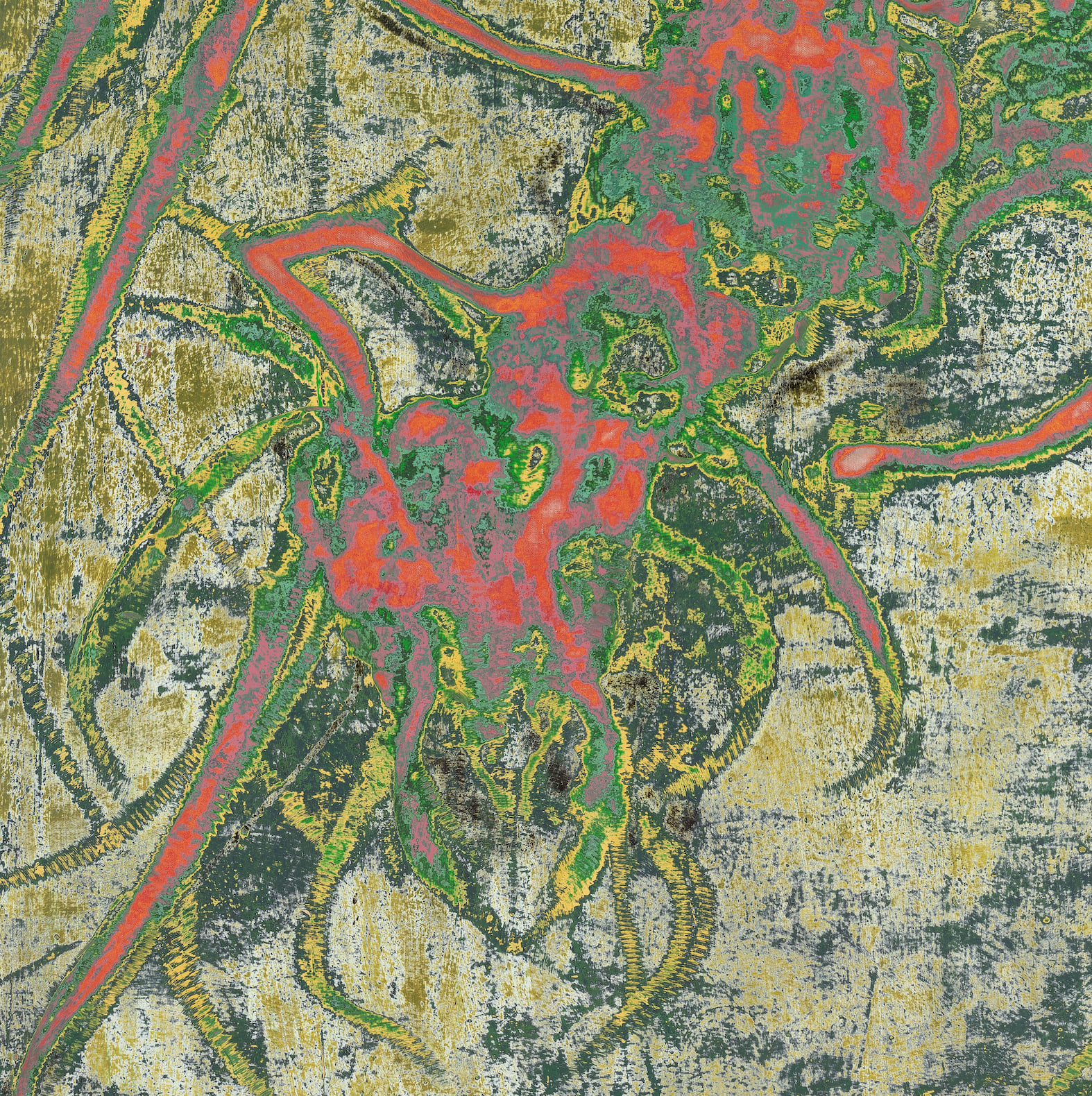 Dennis Miranda Zamorano, Hormiga roja, 2024