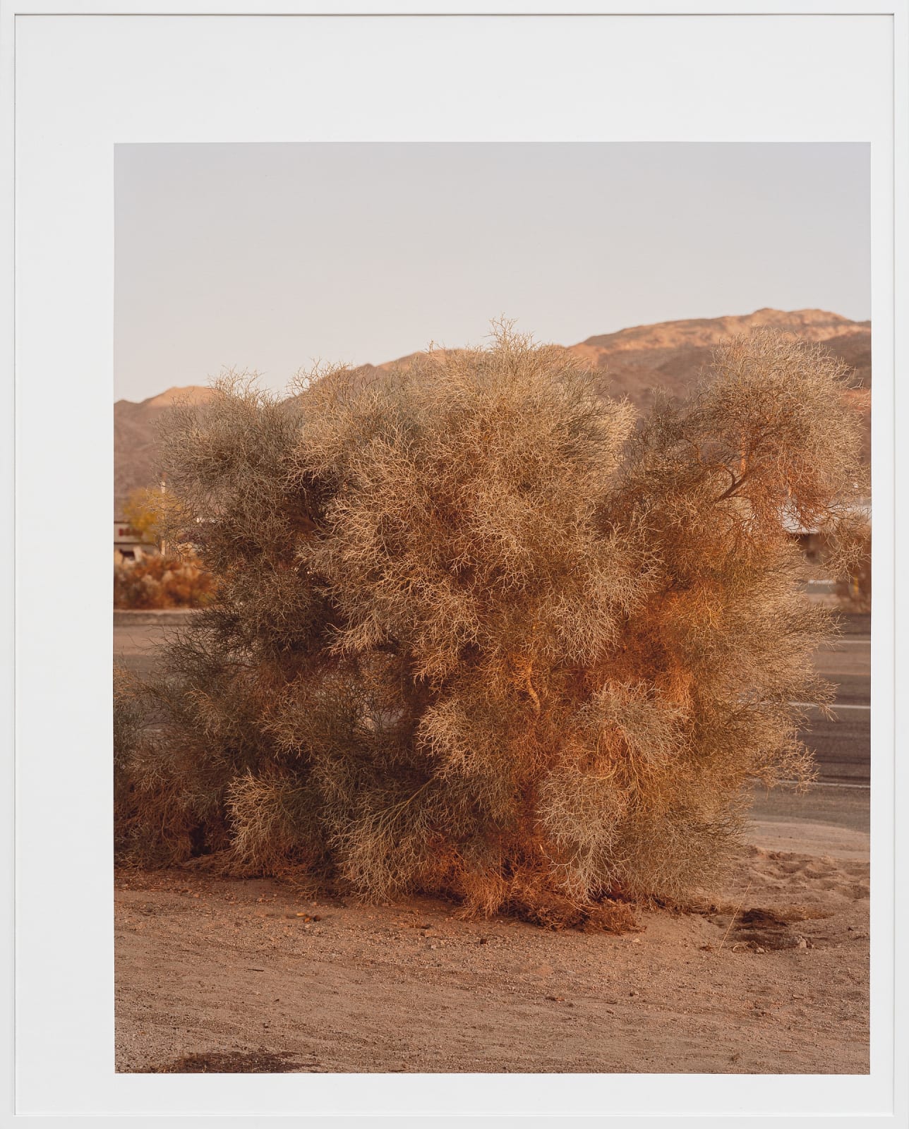 Thomas Block Humery, The Desert Light, 2023