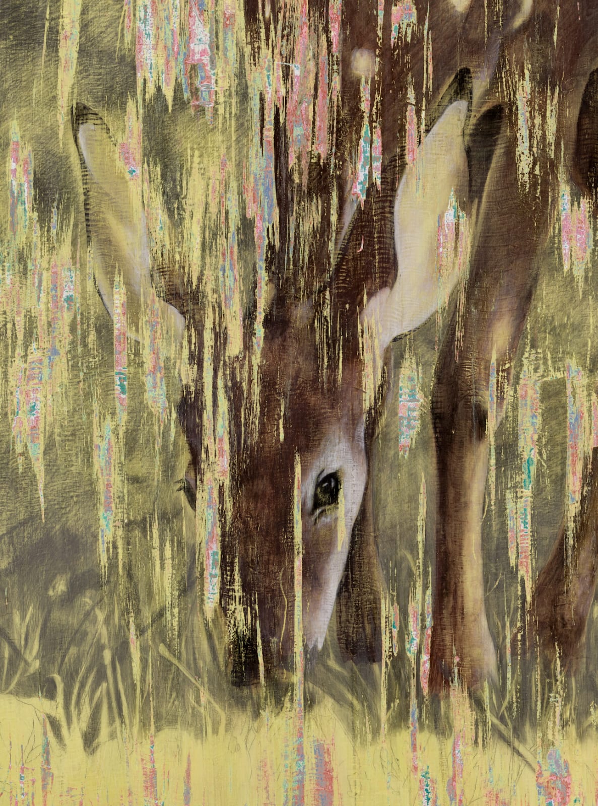 Dennis Miranda Zamorano, Oh, dear!, 2023