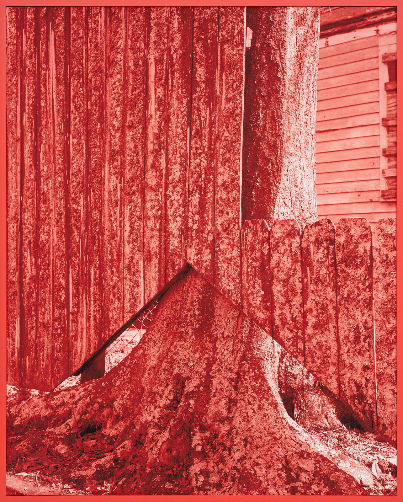 Thomas Block Humery, Fence and Truck, 2023