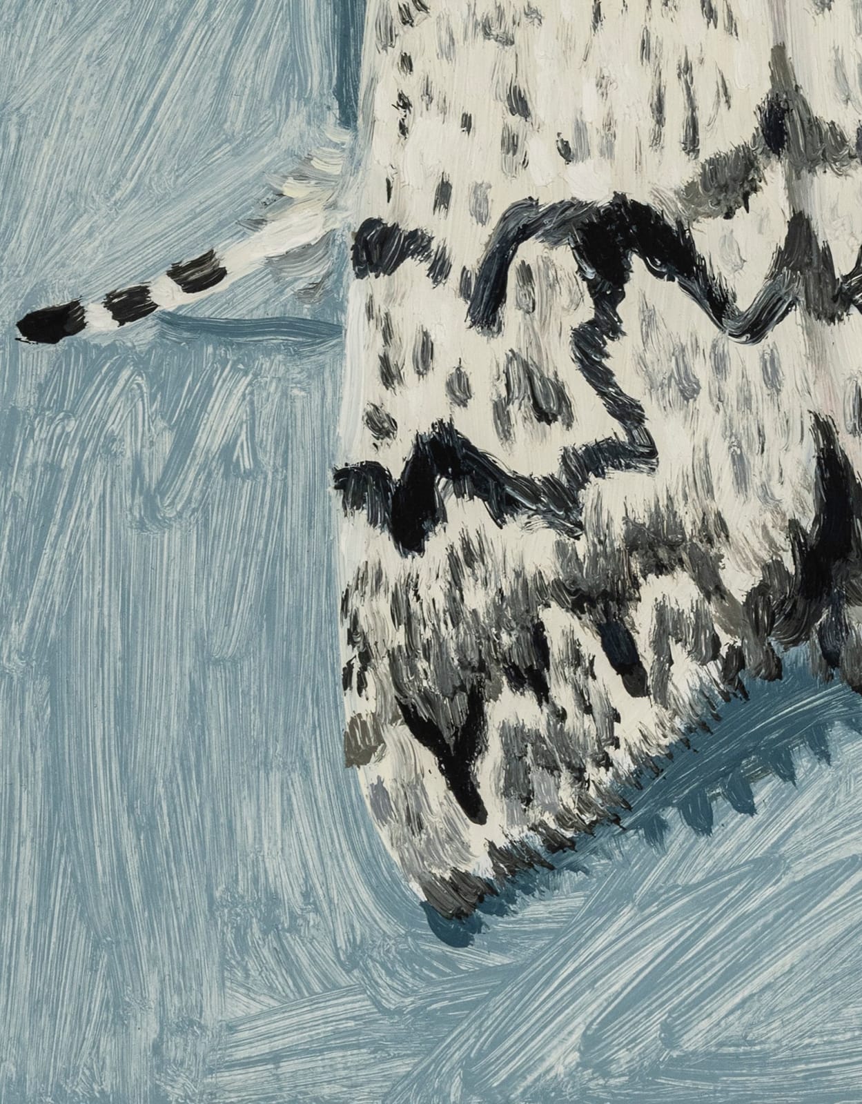 Claudia Keep, July 23rd, 11:35 PM, American Dagger Moth, 2024