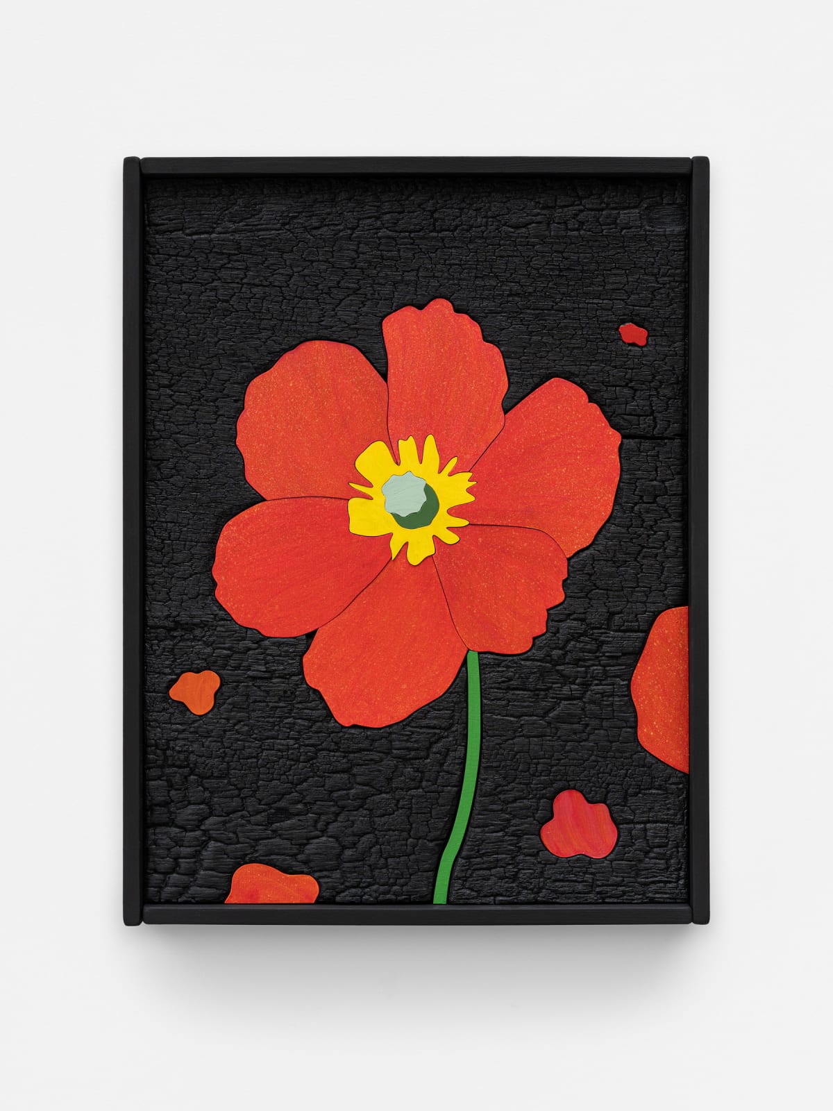 Laurent Pernot, Fire Poppy, 2024