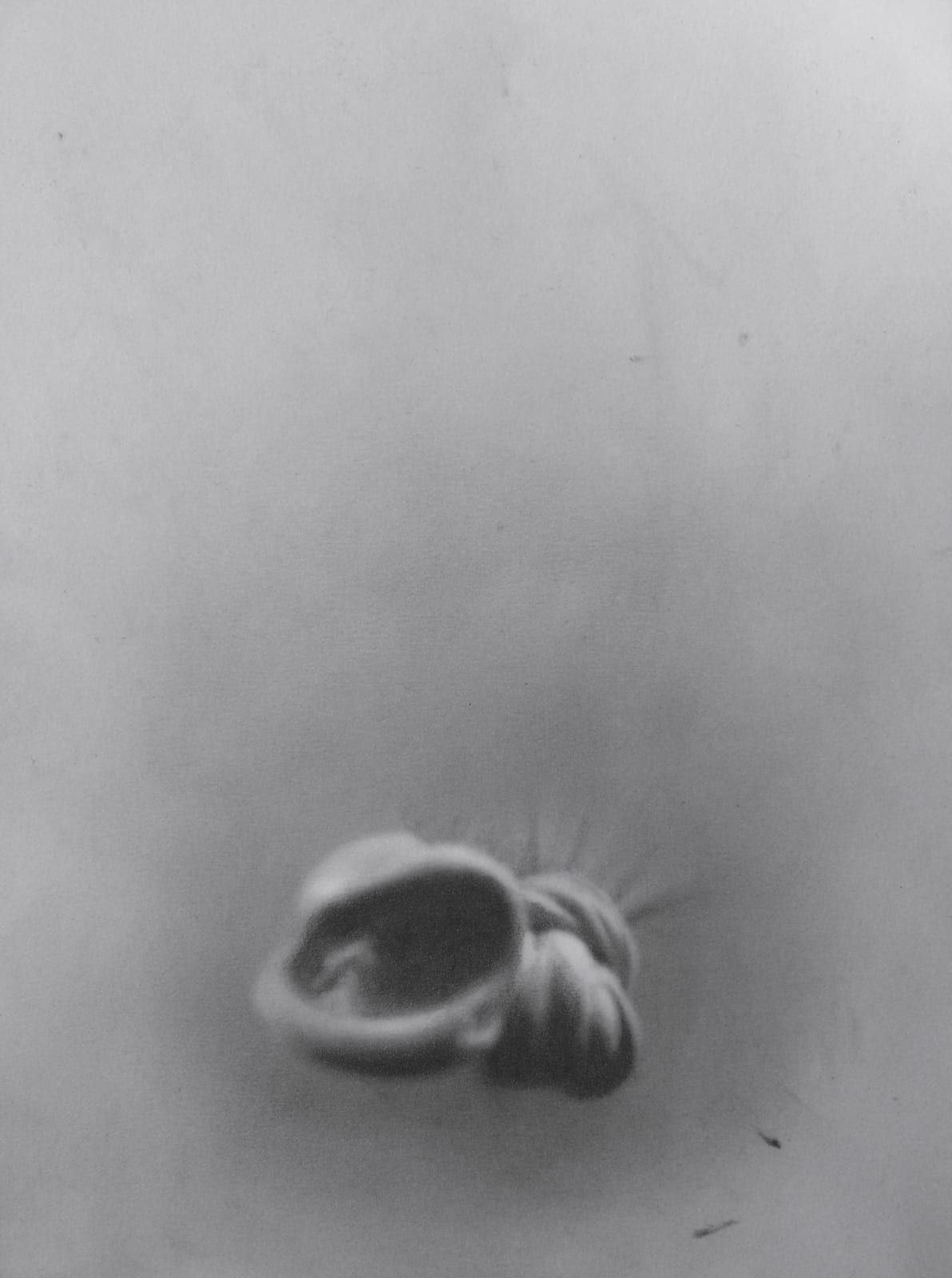 ZHANG Yunyao, Spirit, water drop and the light (4), 2021