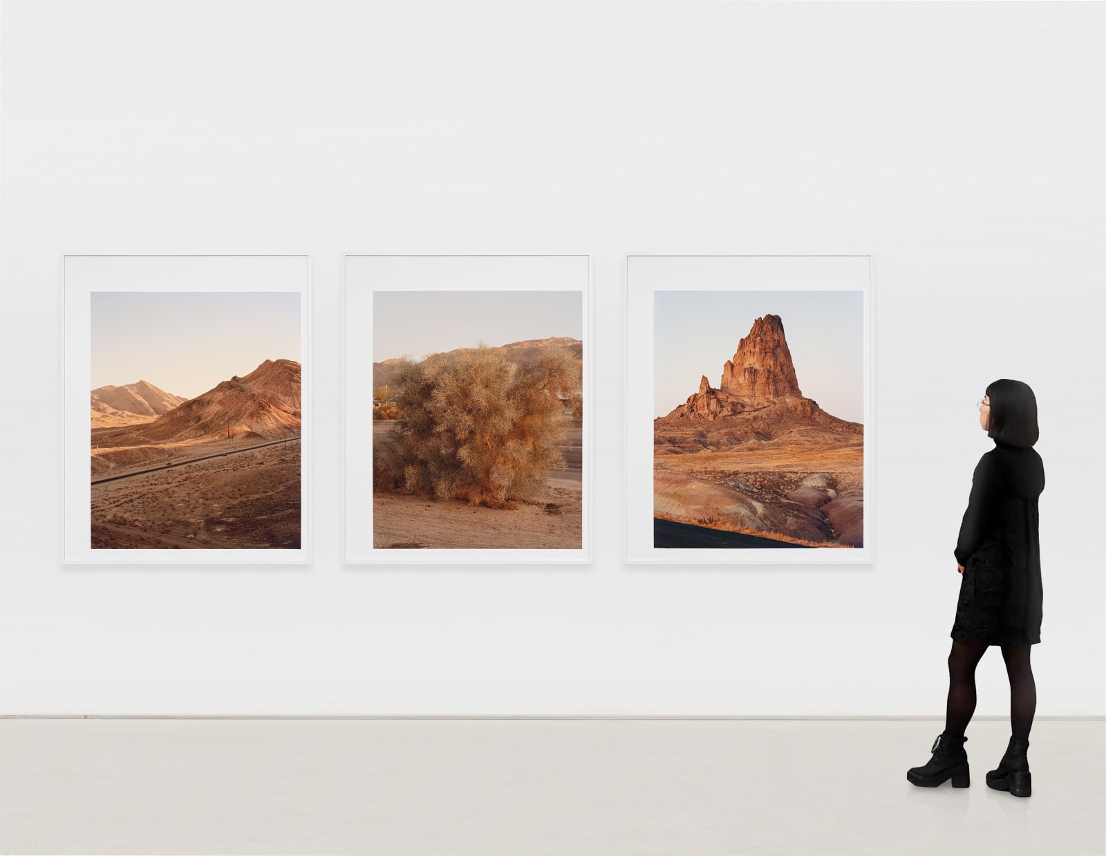 Thomas Block Humery, The Desert Light, 2023