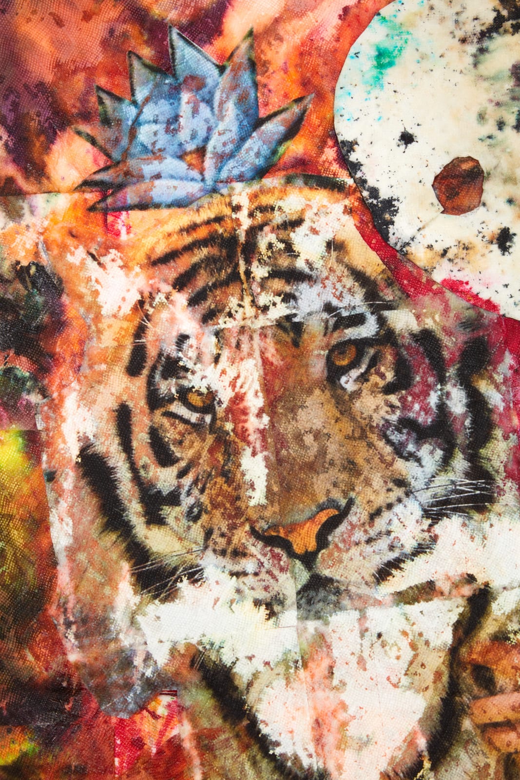 Monsieur Zohore, Surprise! 1891-2022, 2022