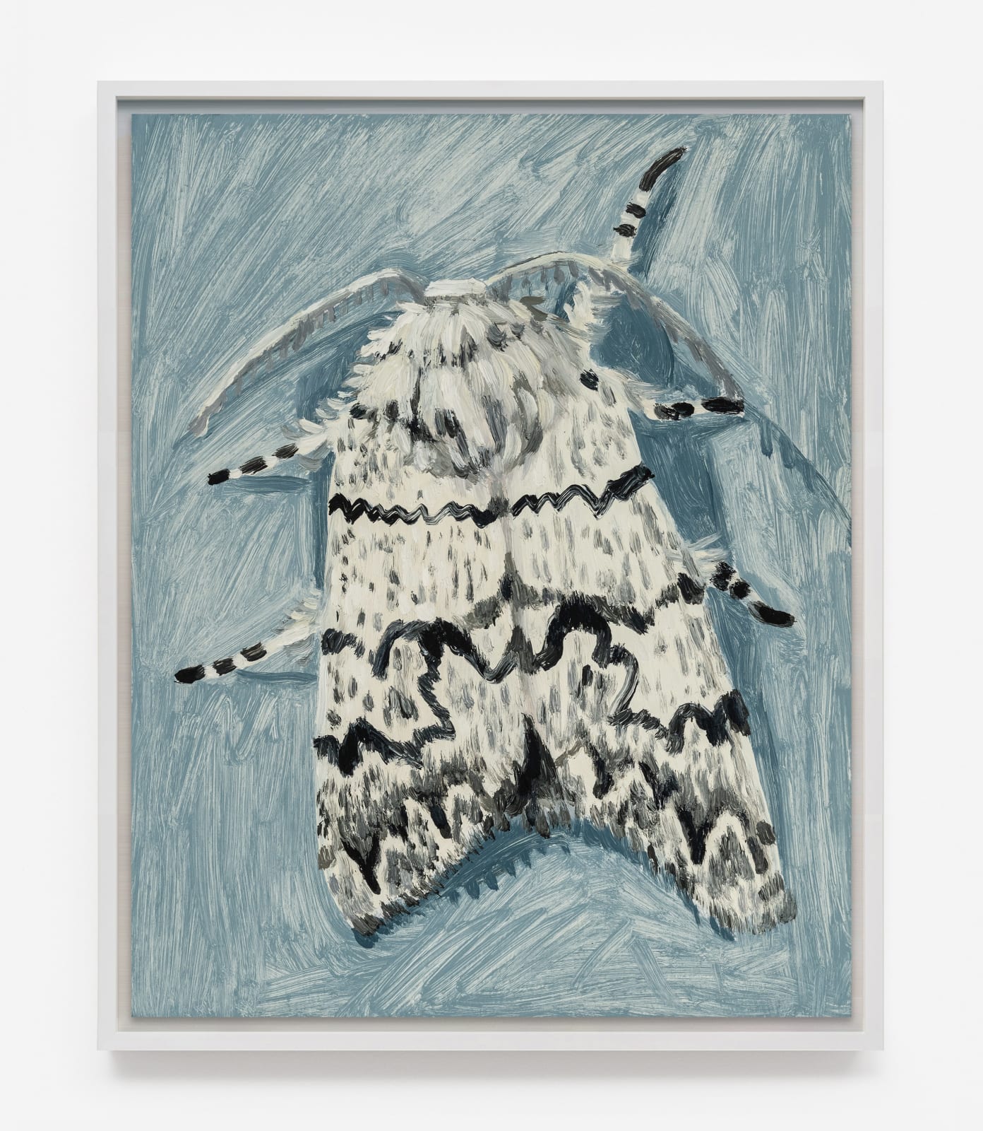 Claudia Keep, July 23rd, 11:35 PM, American Dagger Moth, 2024