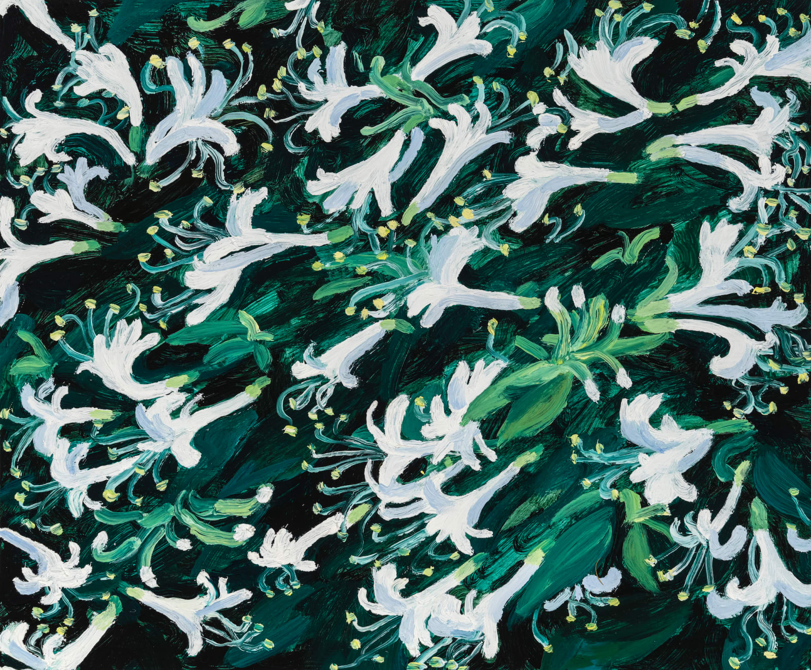 Claudia Keep, Honeysuckle, 2024