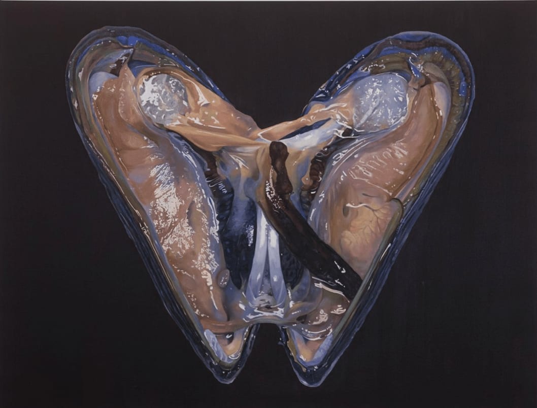 Fawn Rogers, Speciagua, 2021