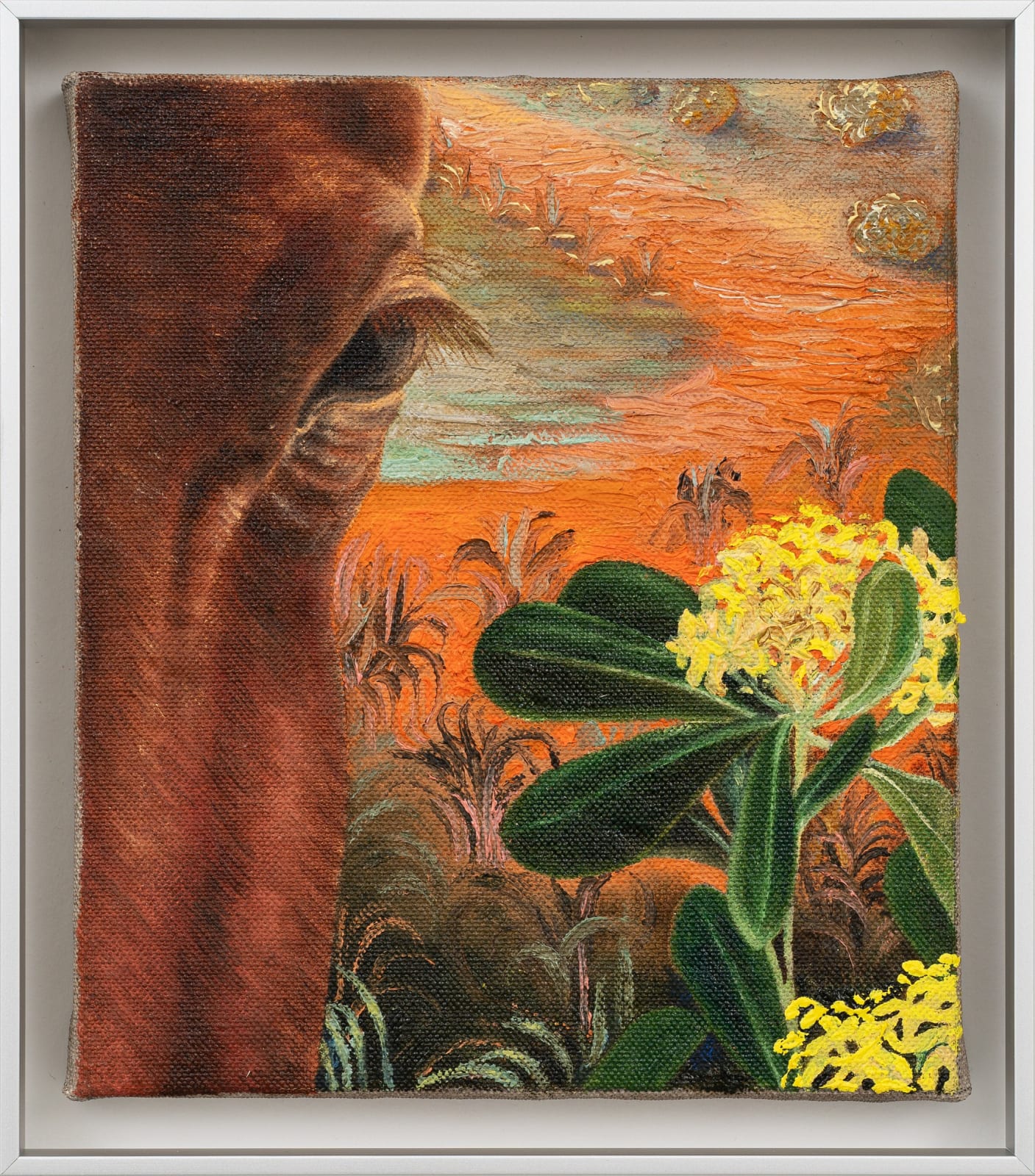 Ángela Ferrari, Sliver atmosphere: What’s beyond the olive trees? , 2025