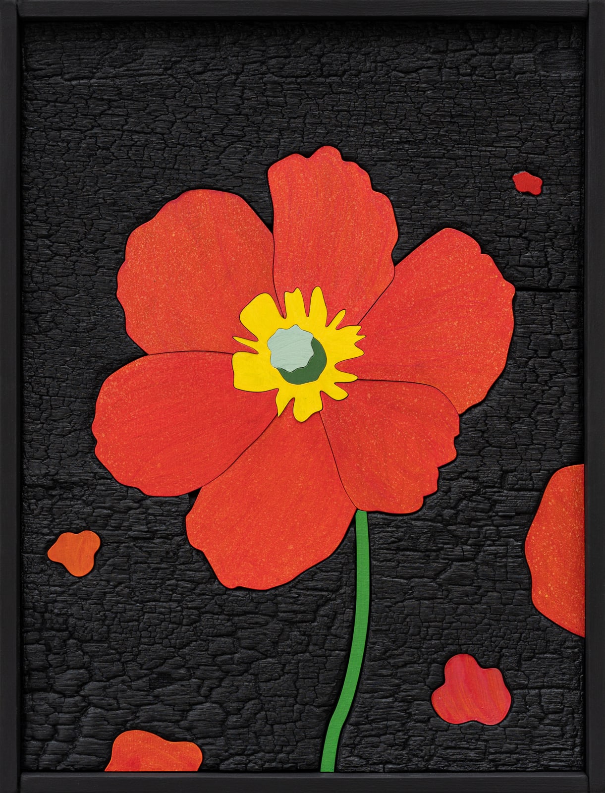 Laurent Pernot, Fire Poppy, 2024