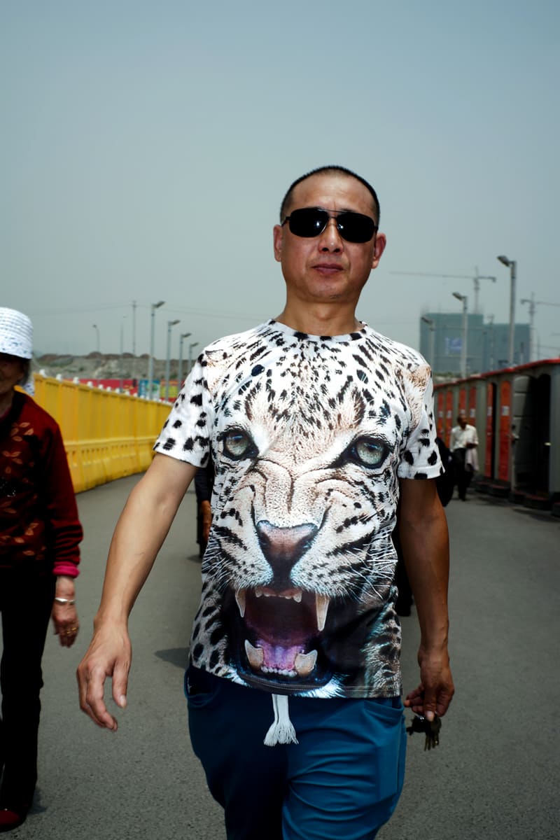 FENG Li, Leopard pattern, 2015