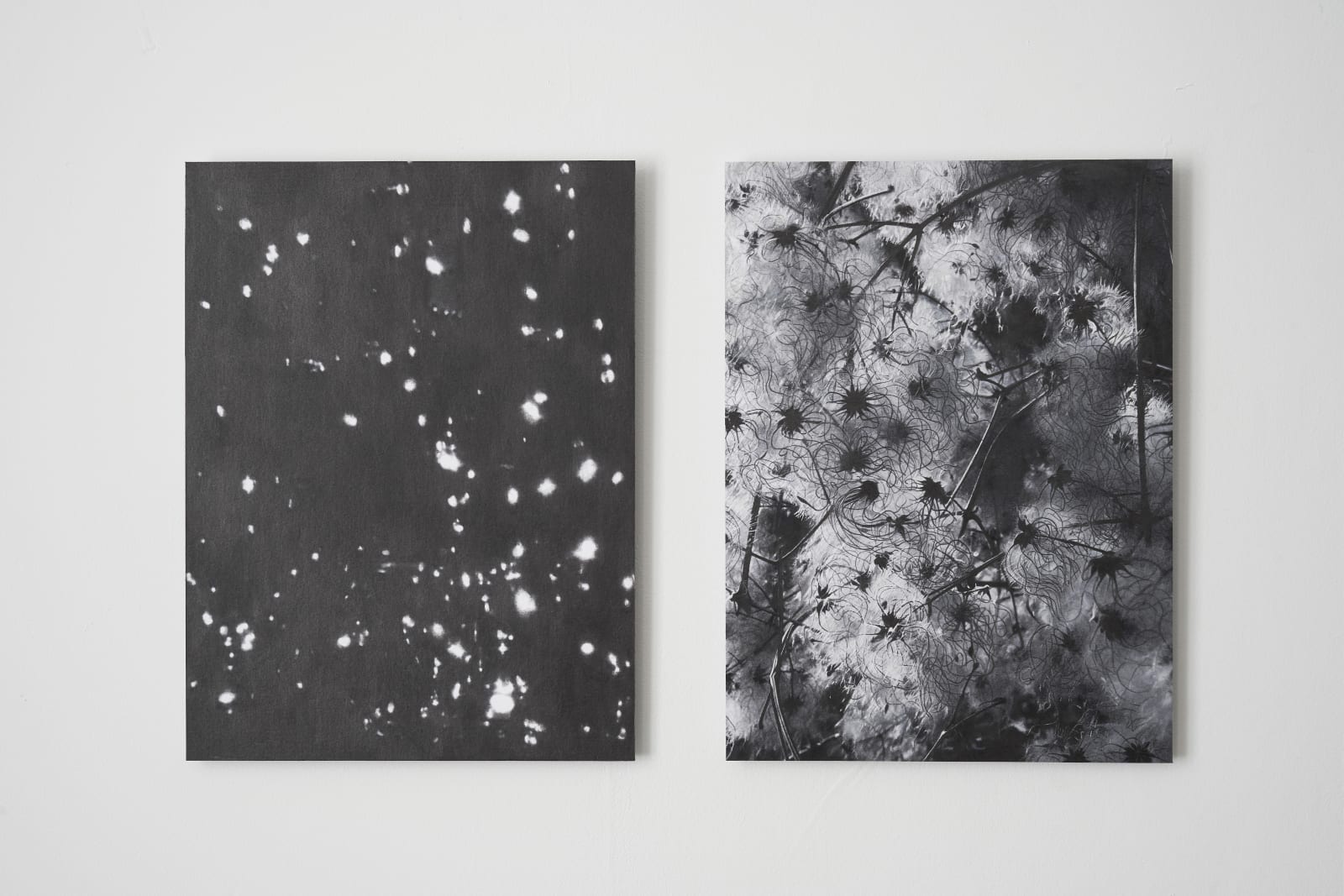 ZHANG Yunyao, Spirit, water drop and the light (5), 2021
