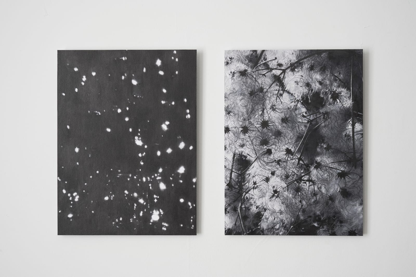ZHANG Yunyao, Spirit, water drop and the light (1), 2021