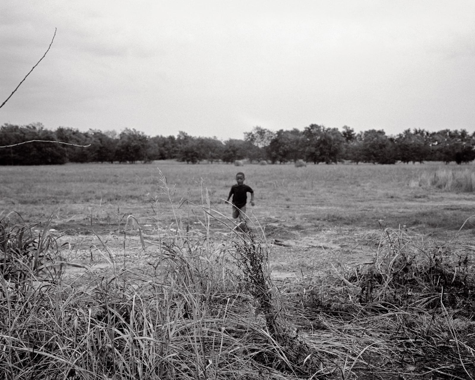 Isabelle Armand, Photography Grid 1, 2013 - 2018