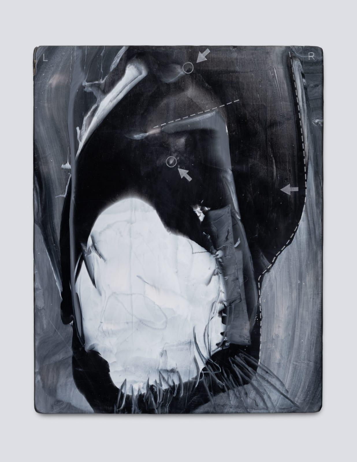 Sean Shim-Boyle, when you hear there's donuts AND cake in the breakroom, 2025