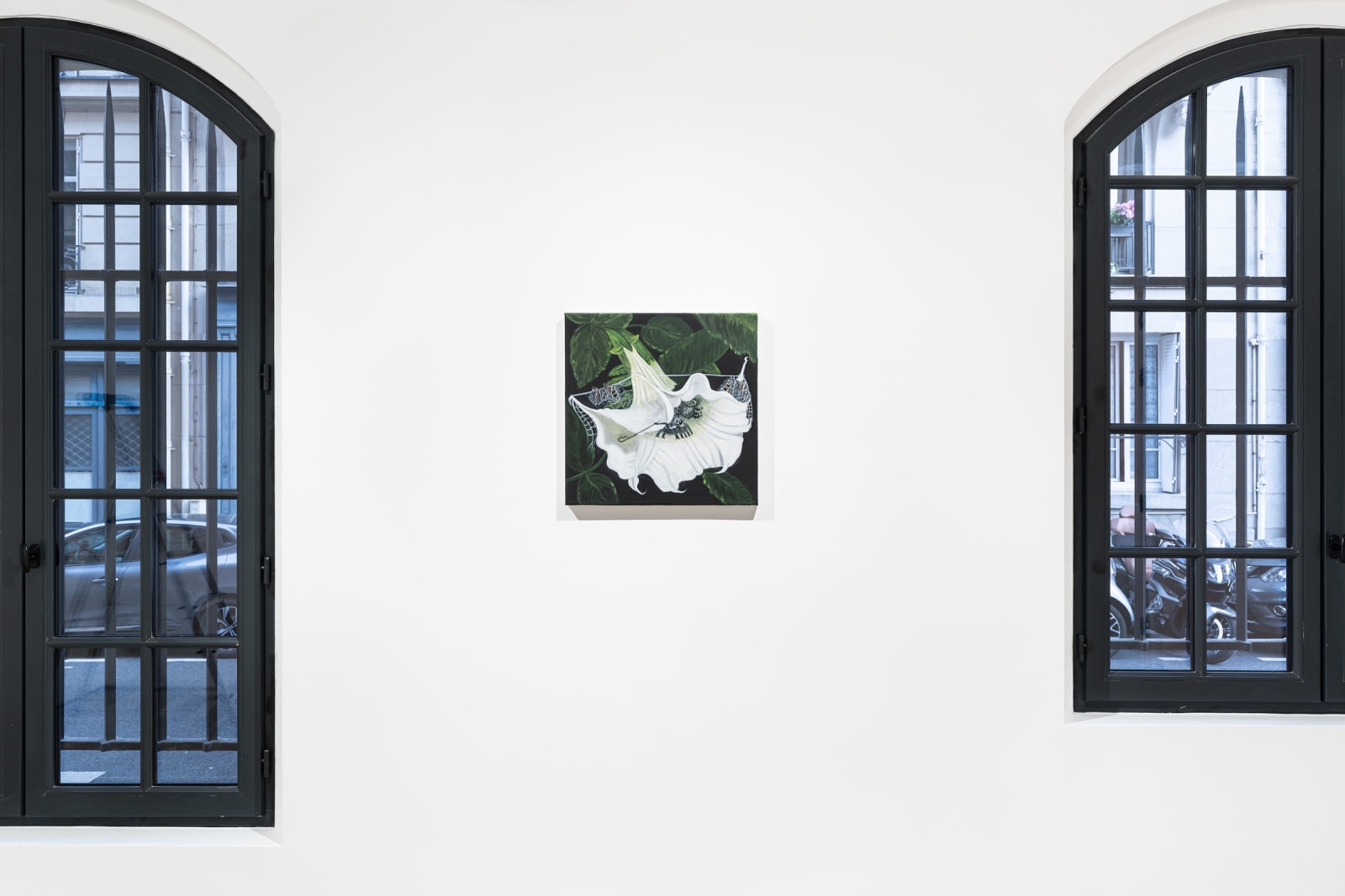 Oh de Laval, Seduce me with care, 2024