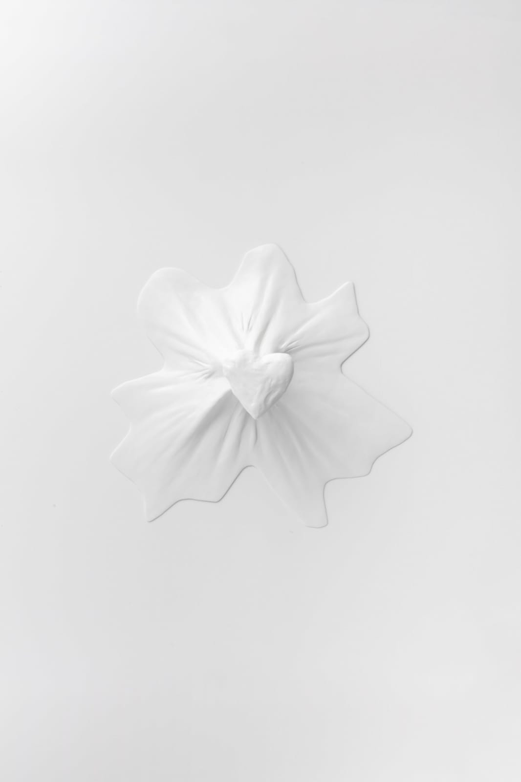 Sean Shim-Boyle, It wasn't in the Plan, 2022