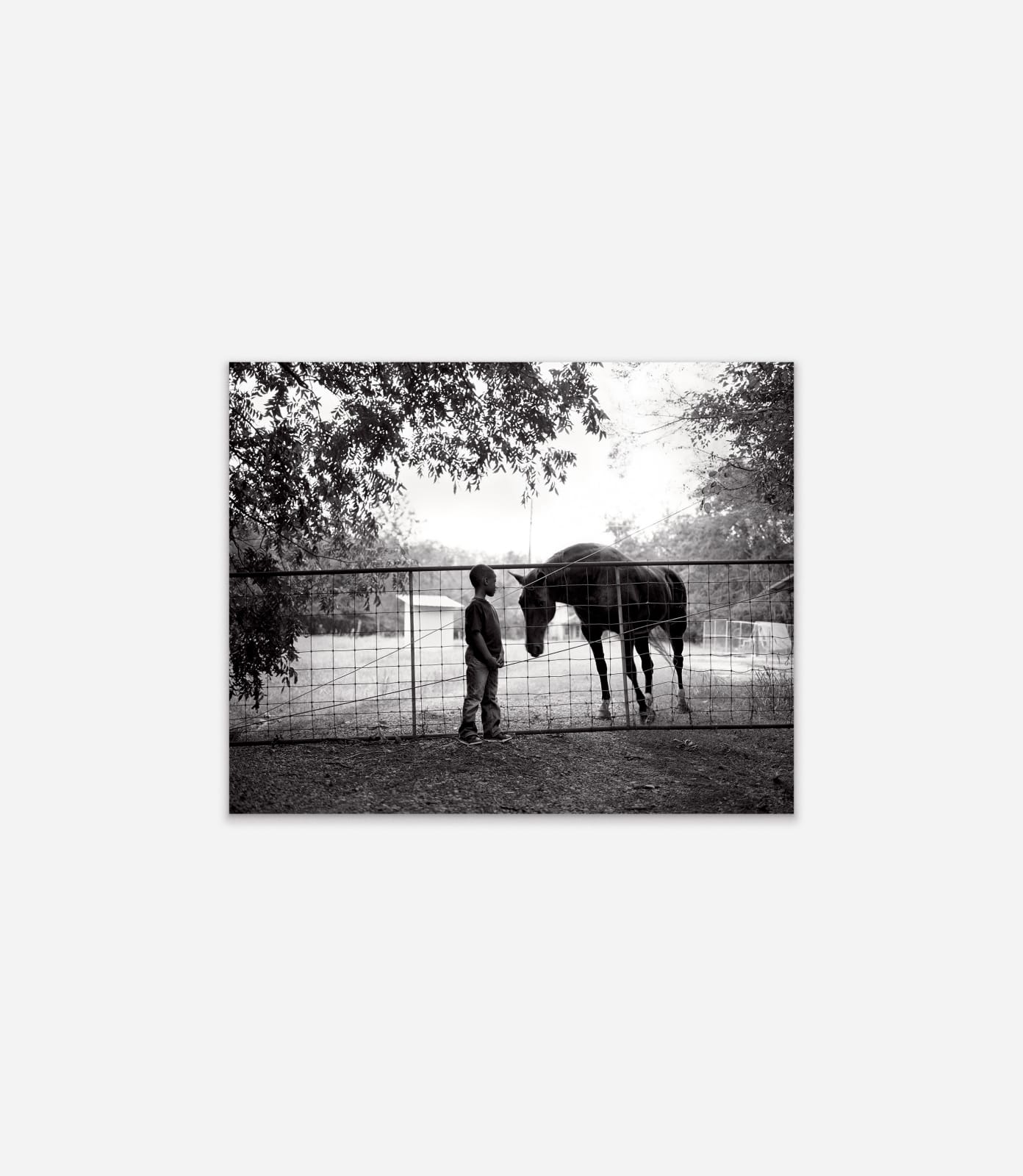 Isabelle Armand, Jeremy and horse at the plantation, 2013 - 2018