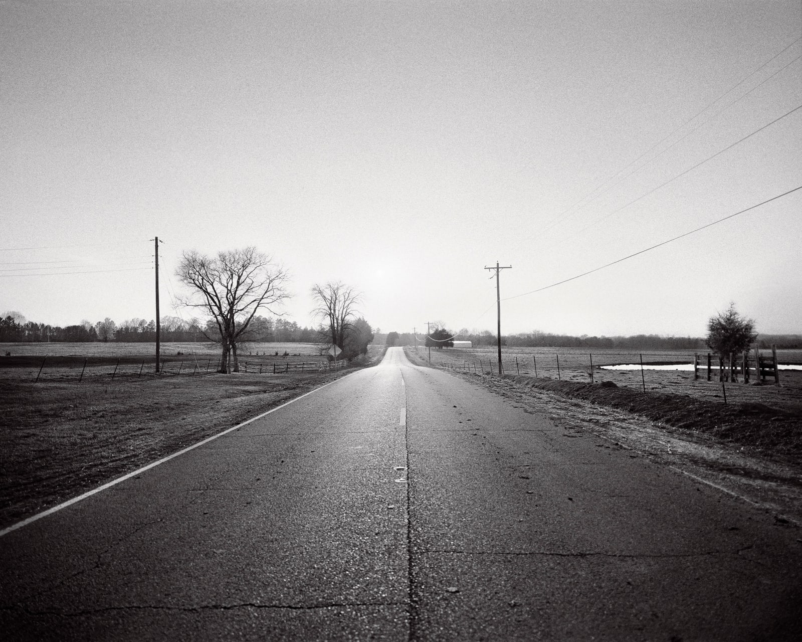 Isabelle Armand, Photography Grid 1, 2013 - 2018