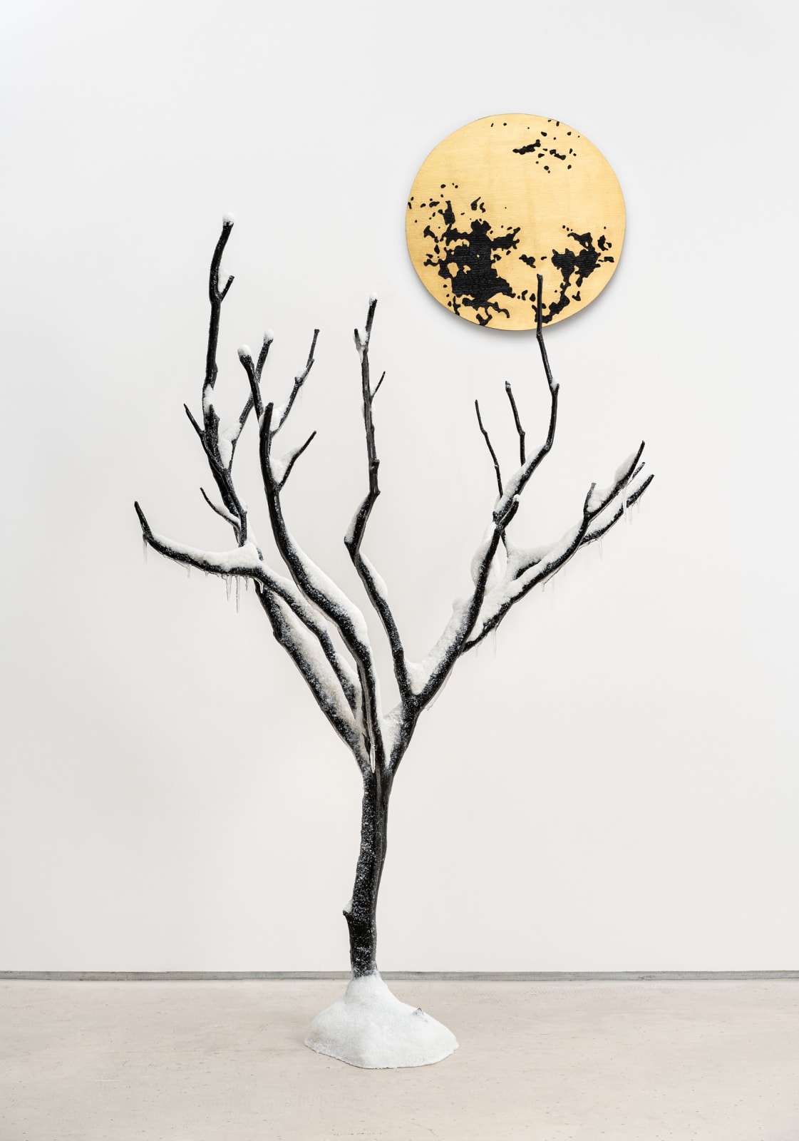 Laurent Pernot, Still life – Eternal winter, 2025