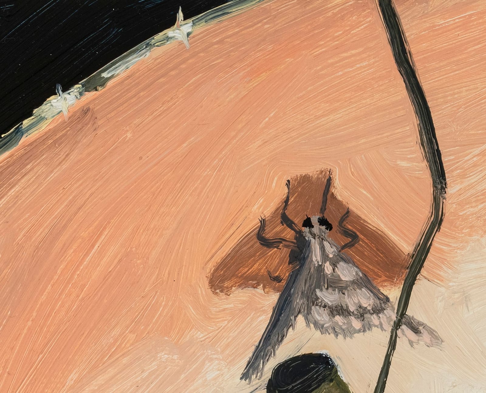 Claudia Keep, August 23rd, 11:31 PM, Dependable Rather Than Predictable, 2024