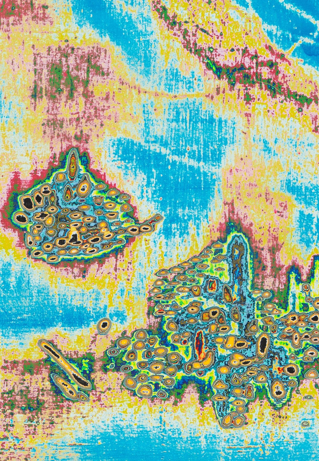 Dennis Miranda Zamorano, Mariachi, 2023