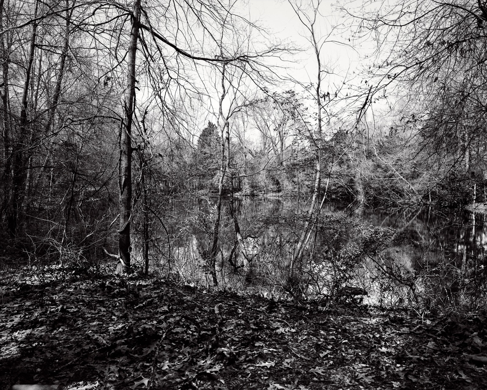 Isabelle Armand, Photography Grid 1, 2013 - 2018