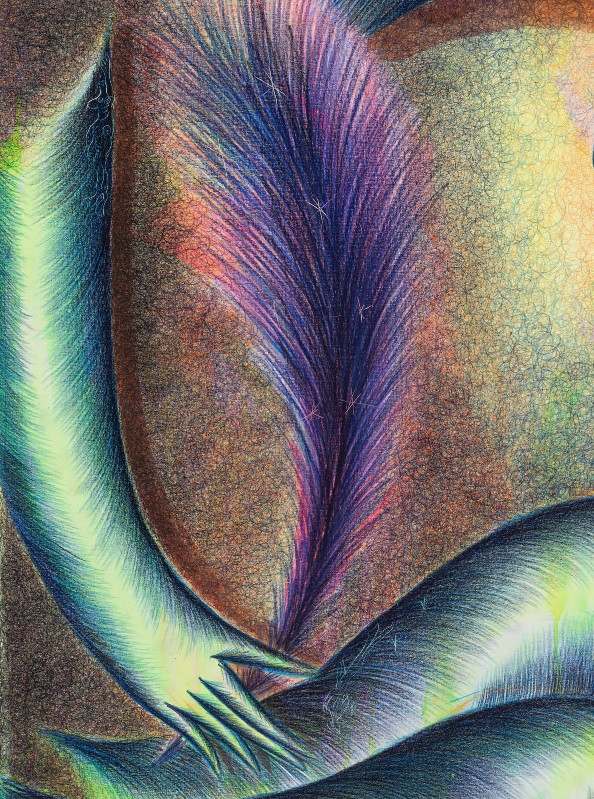 John Fou, Bouffons, 2024