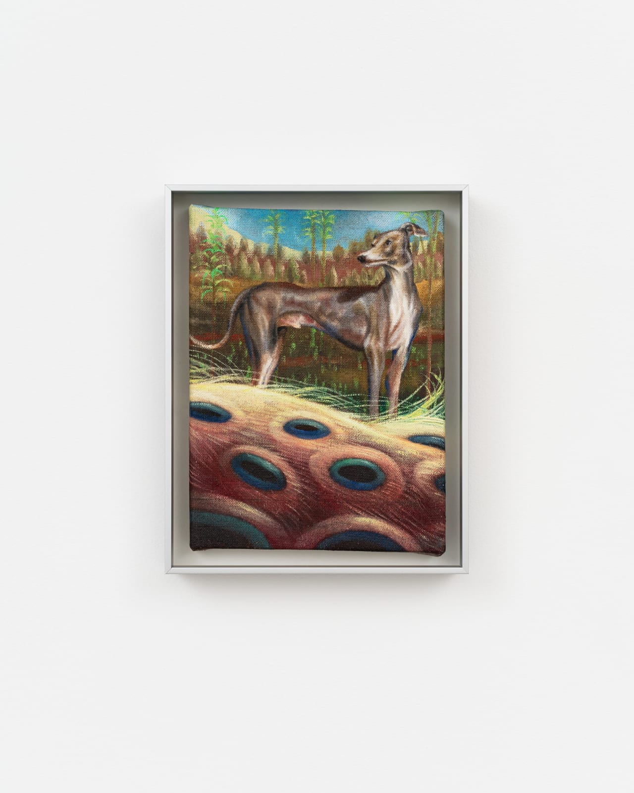 Ángela Ferrari, Las palabras que no sé extrañar, 2025