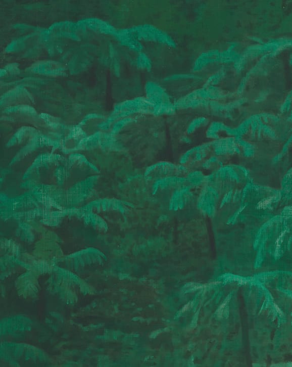 Xie Fan, Landscape · Alsophila Spinulosa, 2023