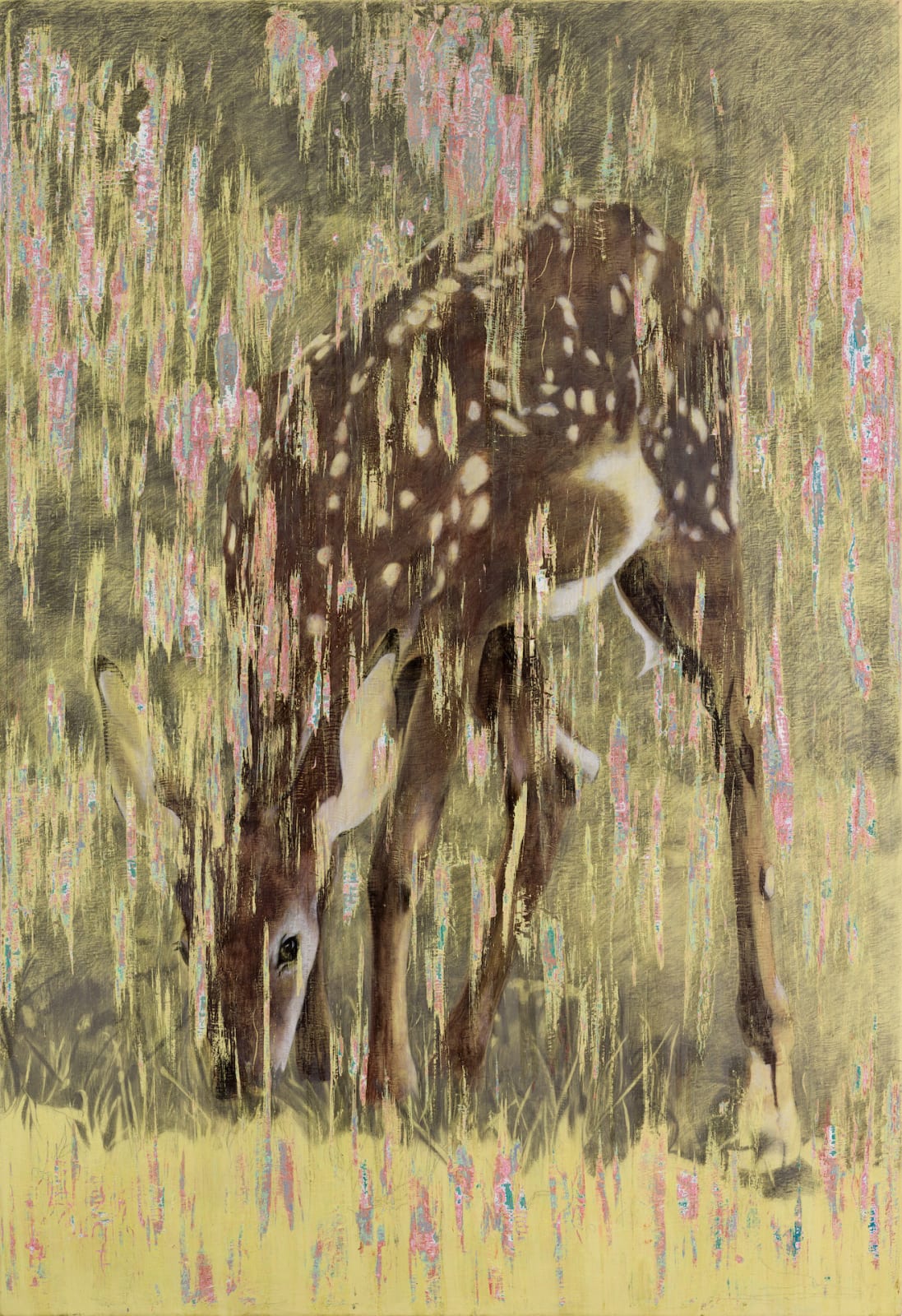 Dennis Miranda Zamorano, Oh, dear!, 2023