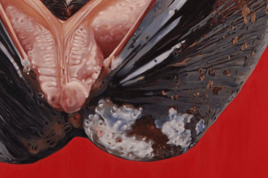 Fawn Rogers, Free of God, 2021