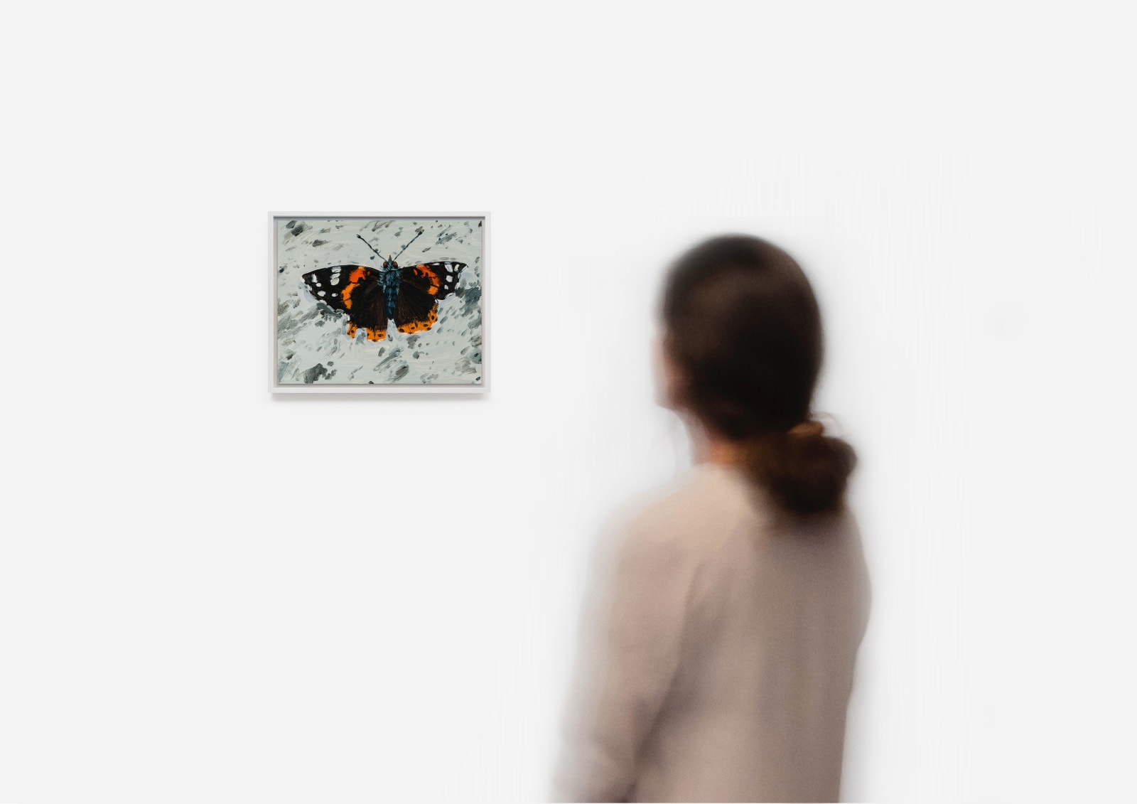 Claudia Keep, September 7th, 10:06 AM, Red Admiral on the Sidewalk, 2023
