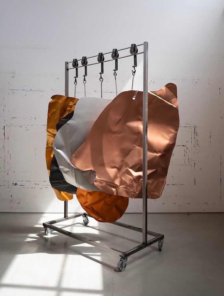 Fawn Rogers, Car Meat (Akhal Teke), 2023