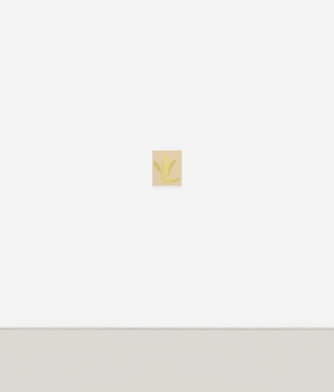 Manuel Stehli, Untitled (Tulip 2), 2023