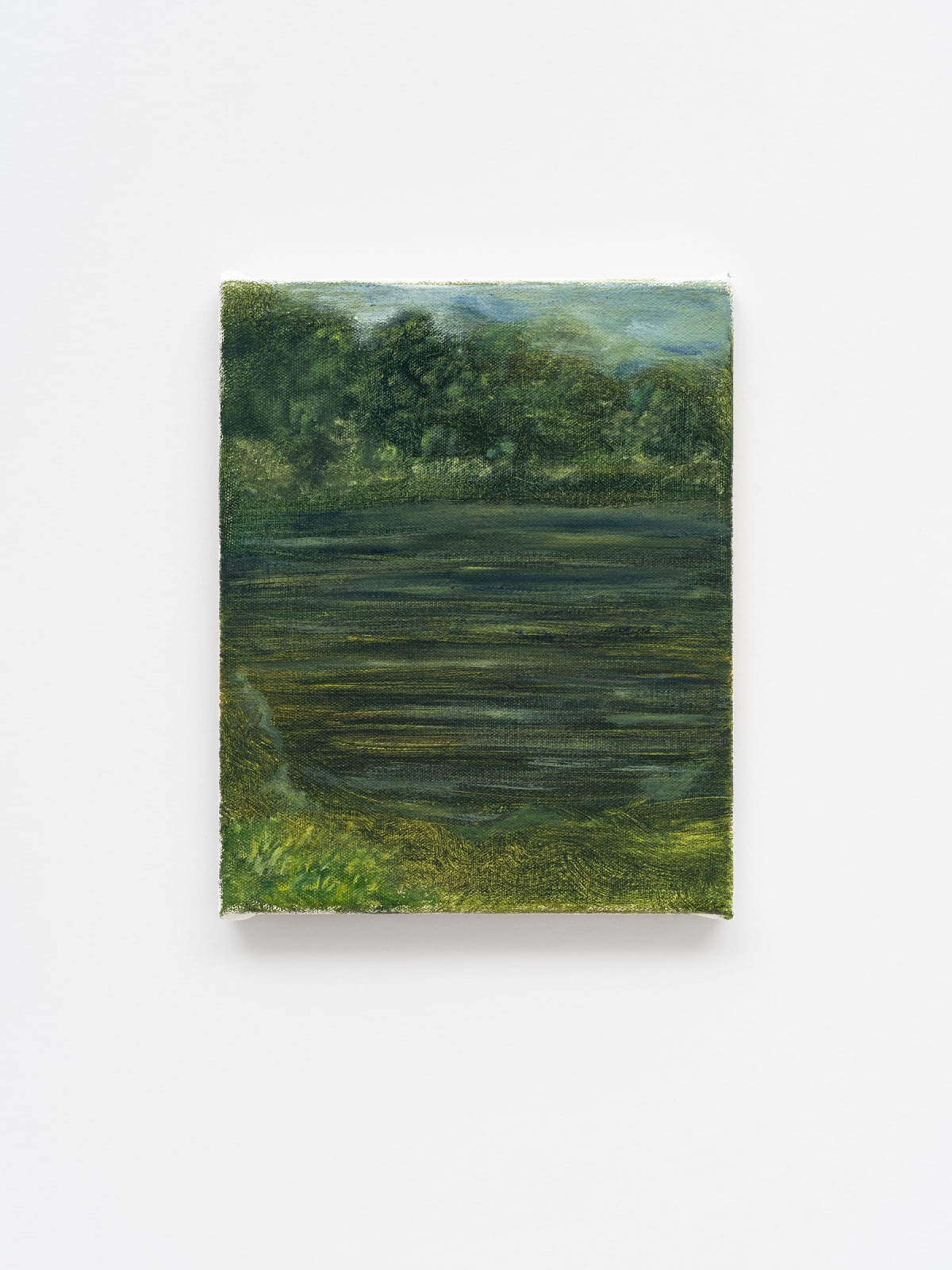 Jamiu Agboke, Marshes, 2023