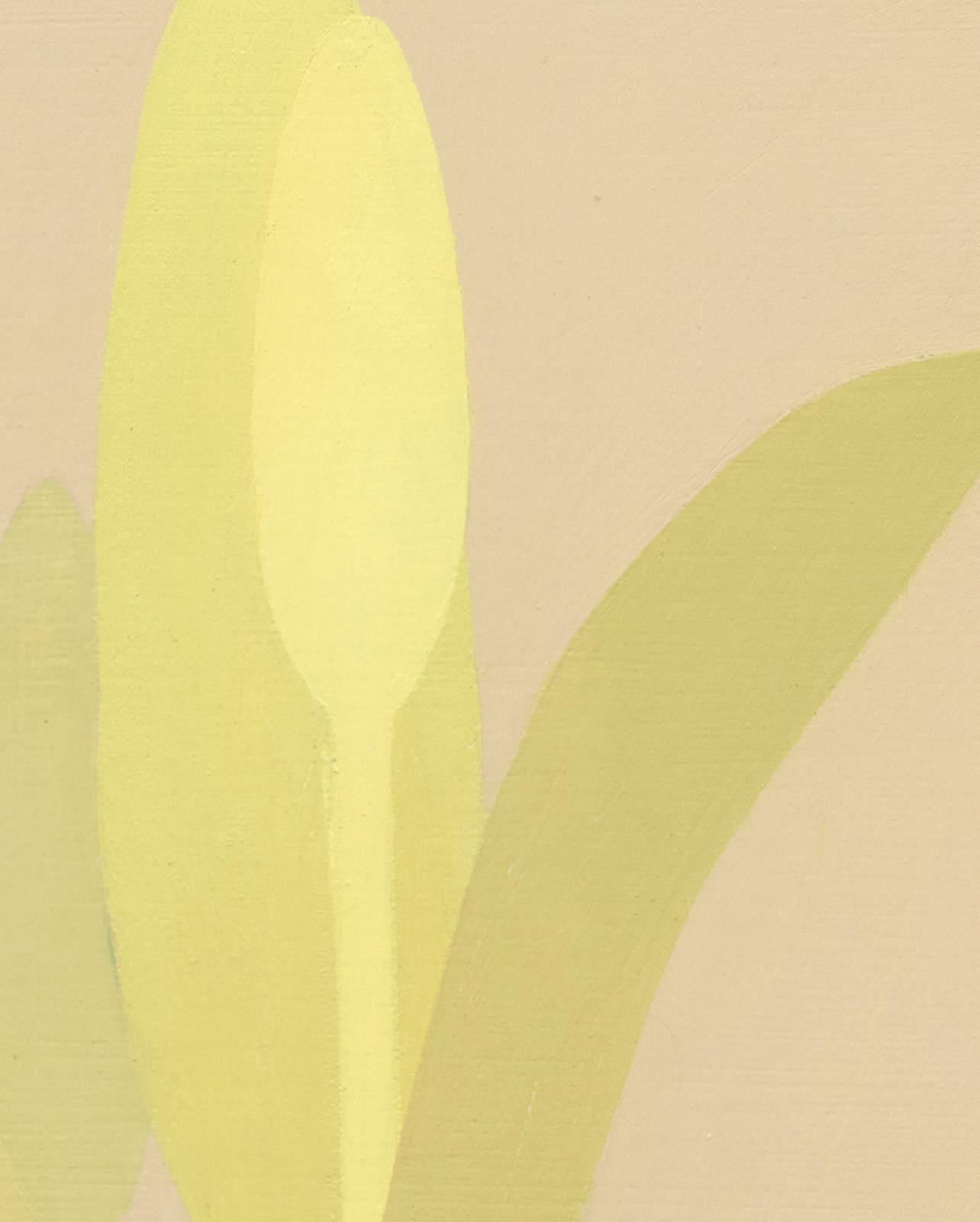 Manuel Stehli, Untitled (Tulip 2), 2023