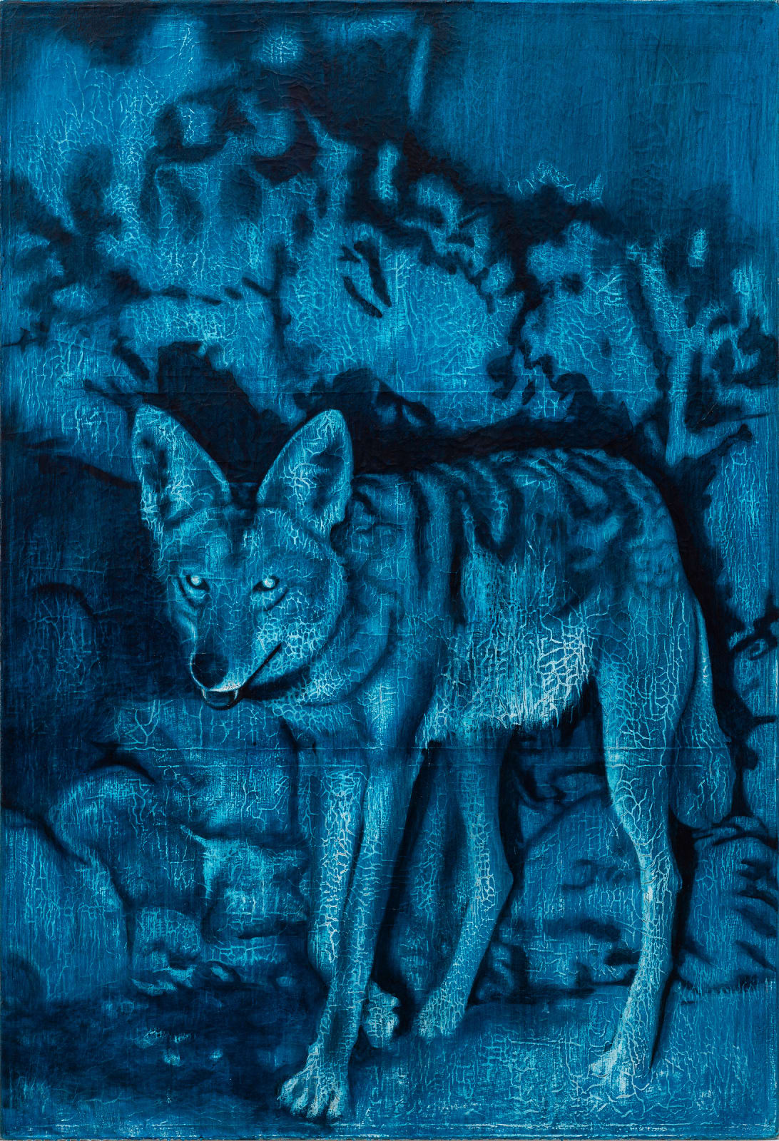 Dennis Miranda Zamorano, Coyote, 2023