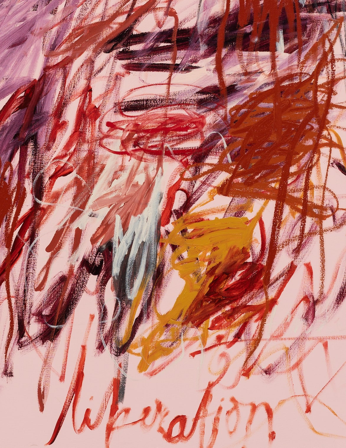 a'driane nieves, No One Told Me Liberation Comes With Such Tender Bruising, 2022