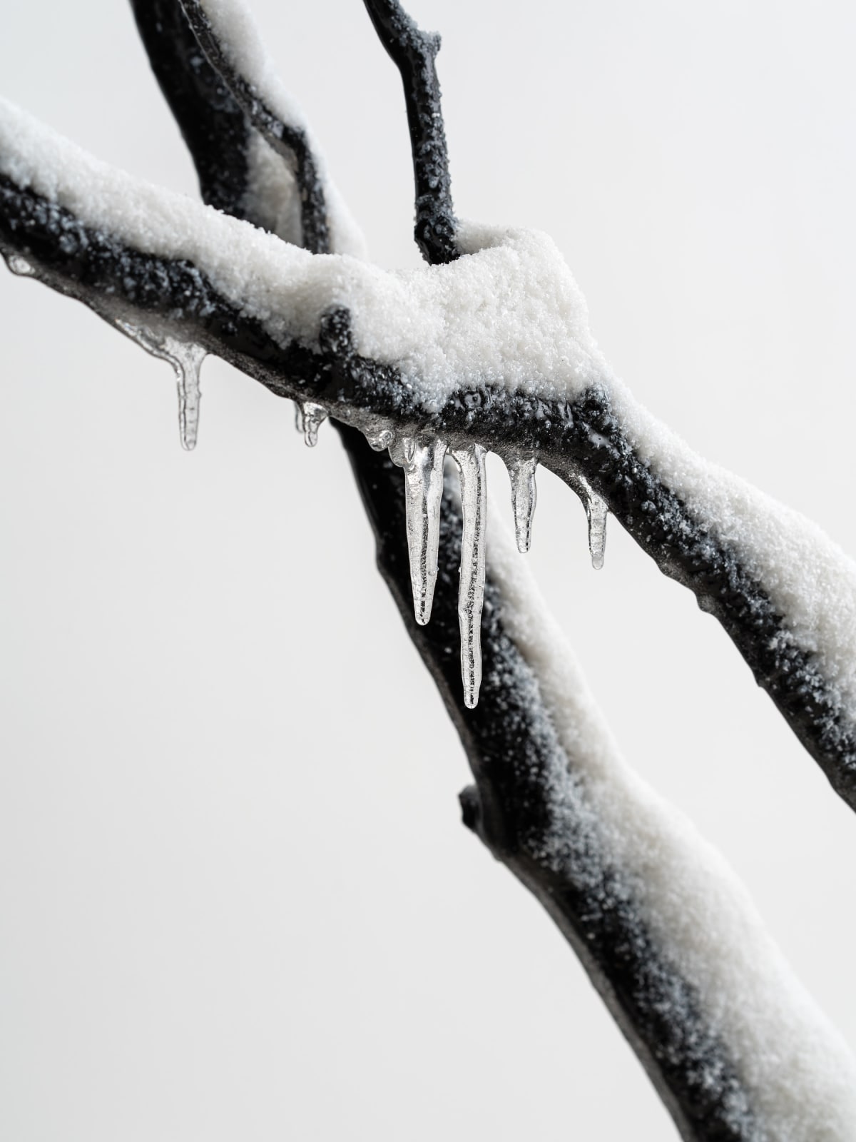 Laurent Pernot, Still life – Eternal winter, 2025