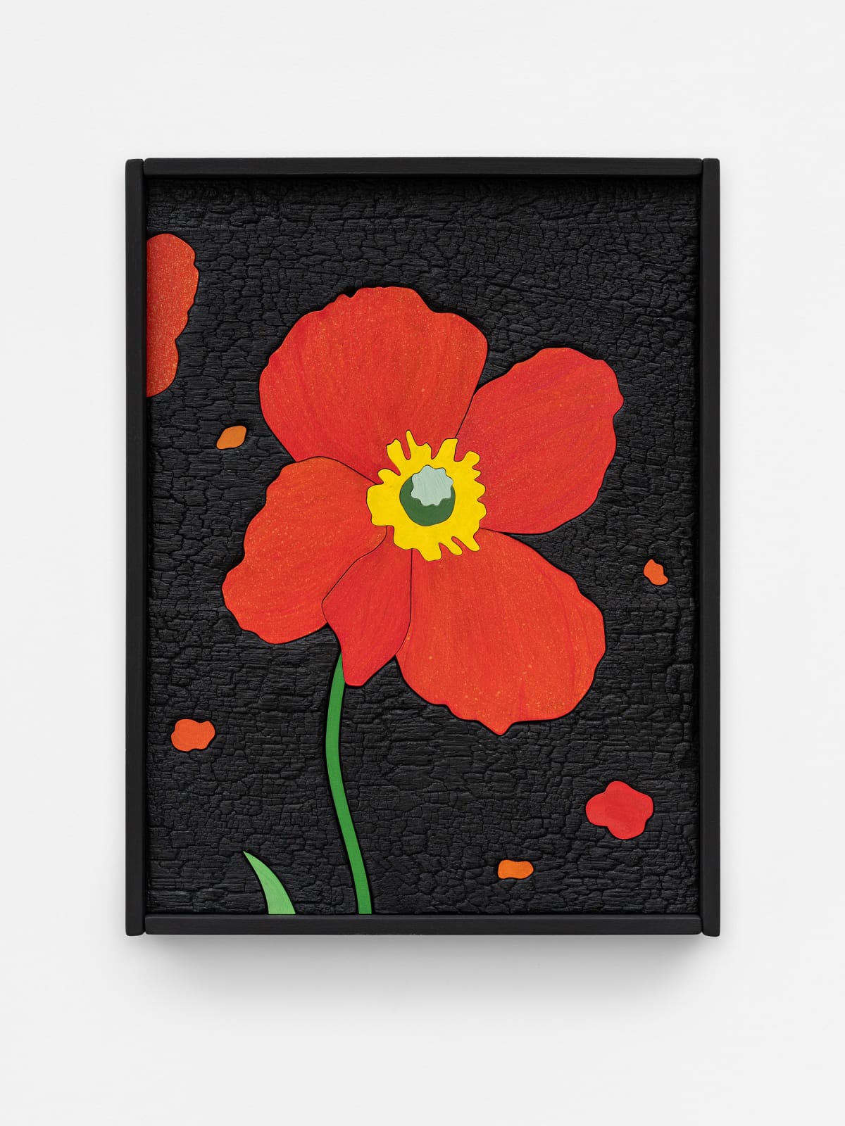 Laurent Pernot, Fire Poppy, 2024