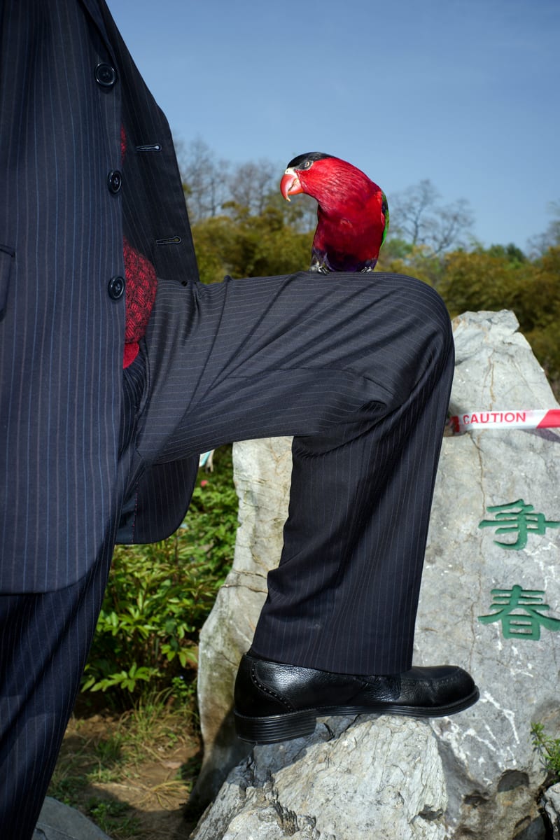 FENG Li, Men and birds, 2015