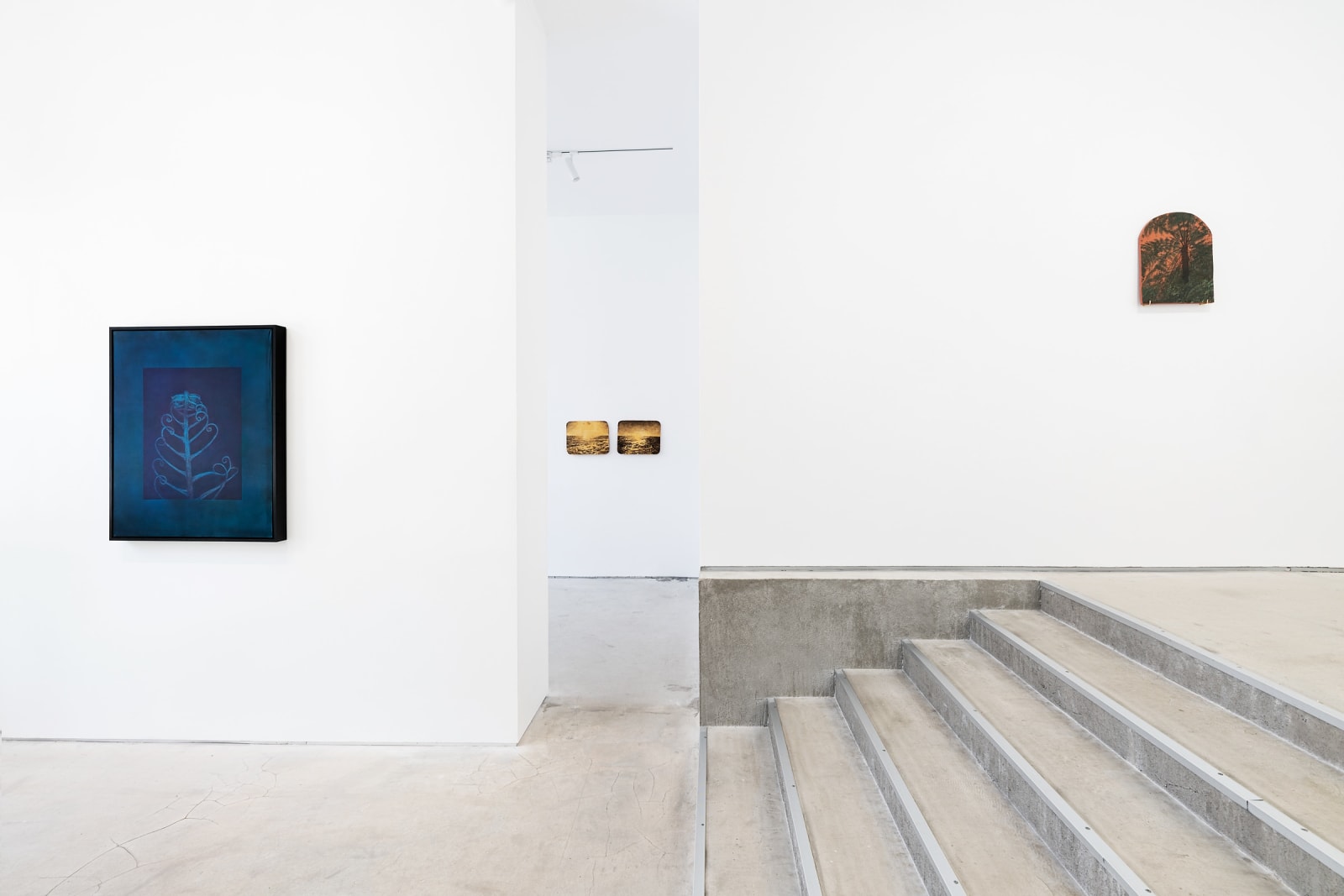 Xie Fan, Landscape · Alsophila Spinulosa, 2023