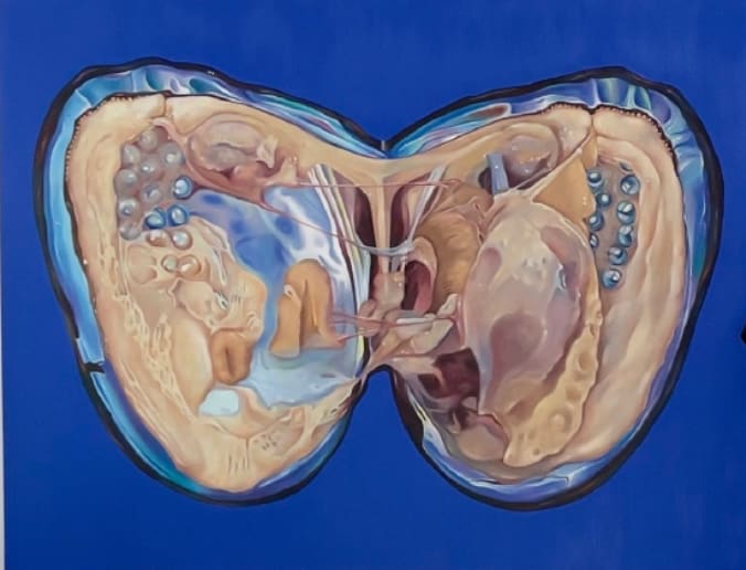 Fawn Rogers, Jestope, 2022