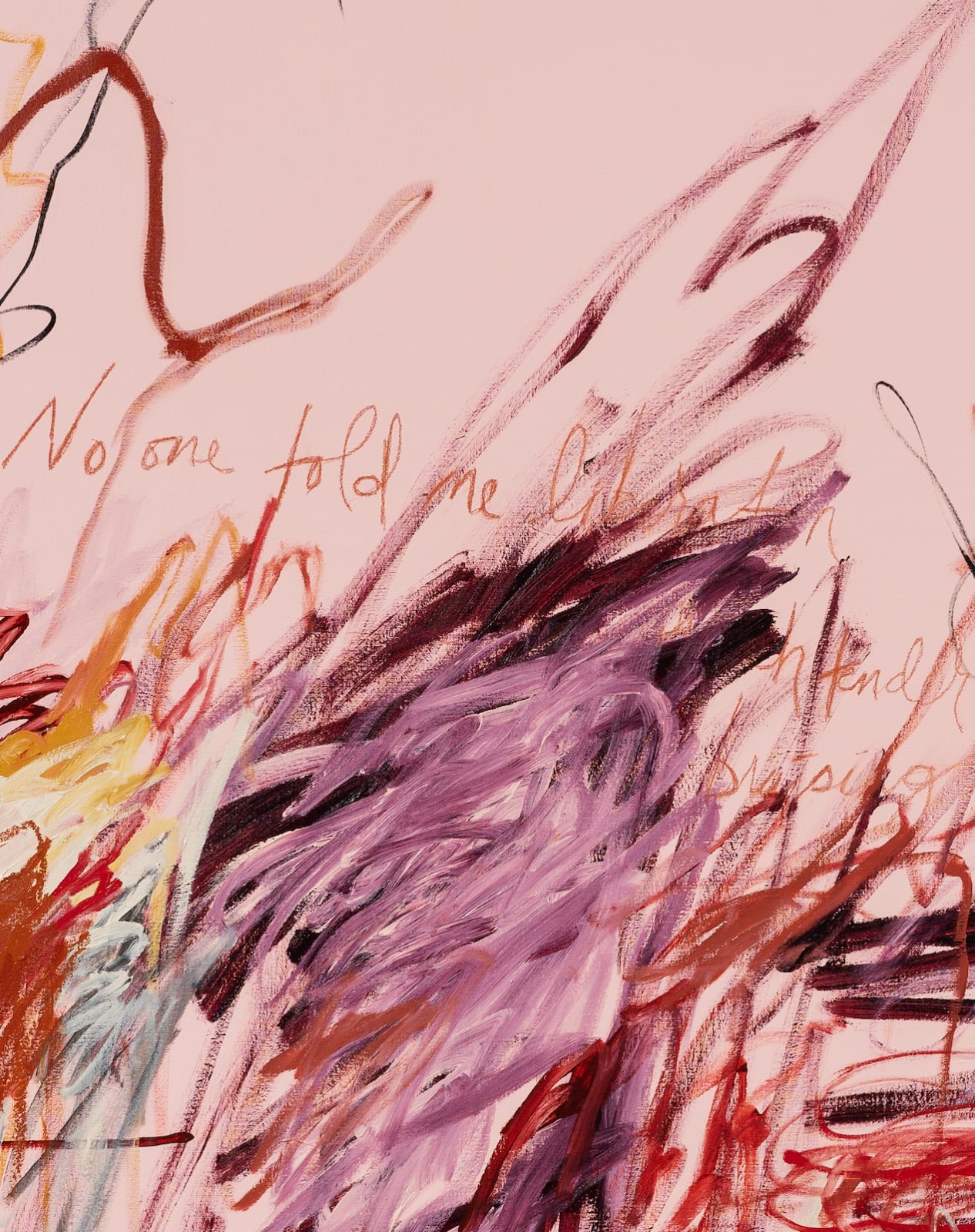 a'driane nieves, No One Told Me Liberation Comes With Such Tender Bruising, 2022