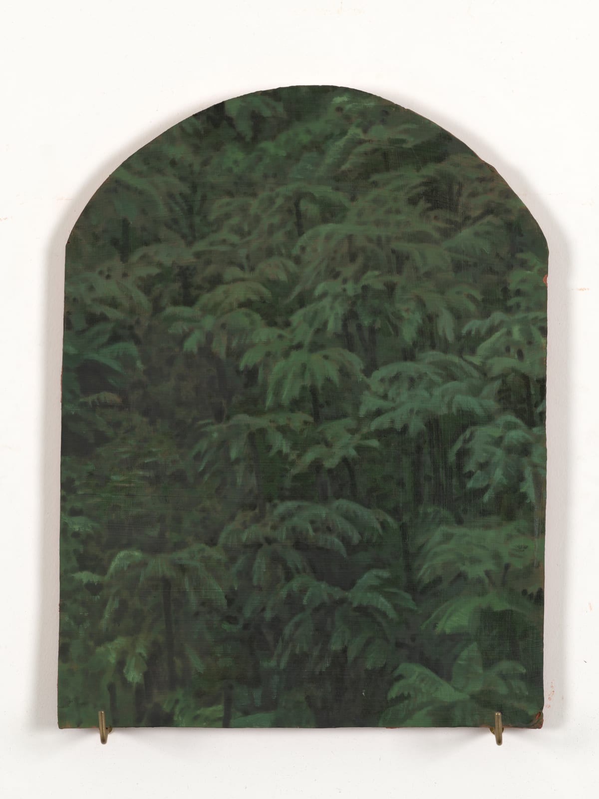 Xie Fan, Landscape · Alsophila Spinulosa, 2023