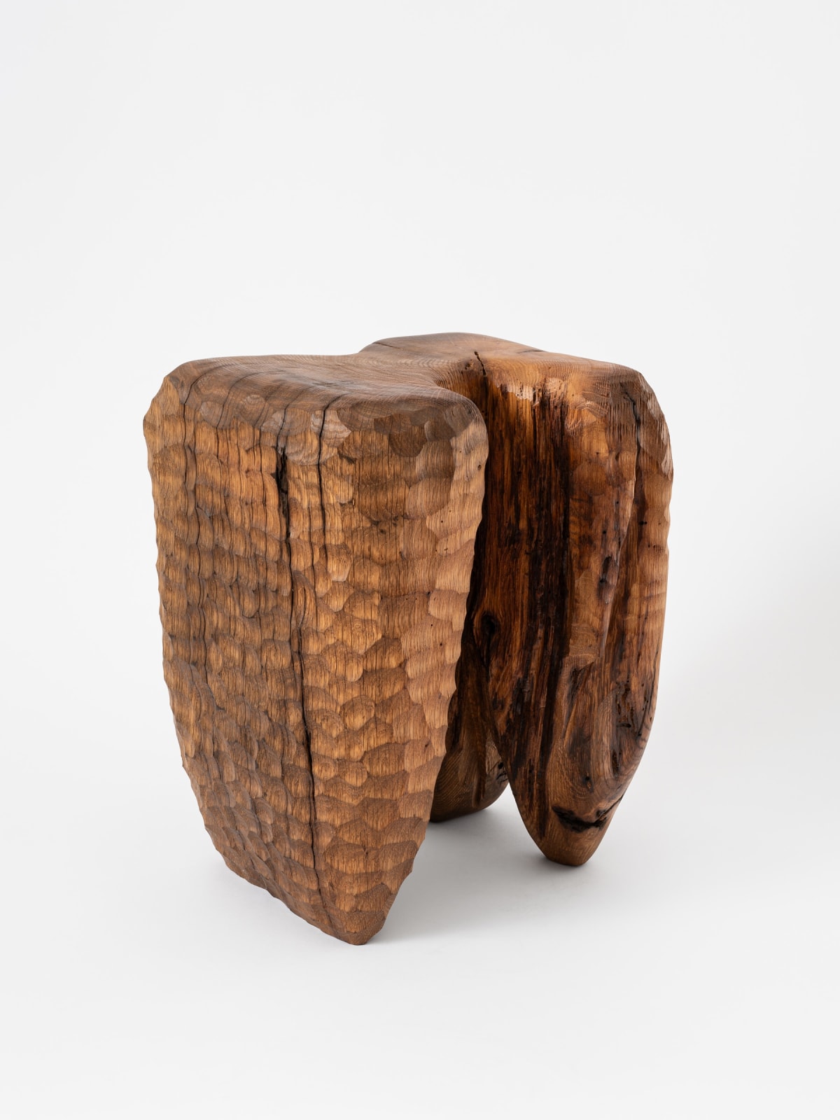 Patrick Kim-Gustafson, Dr. Björkman , 2024