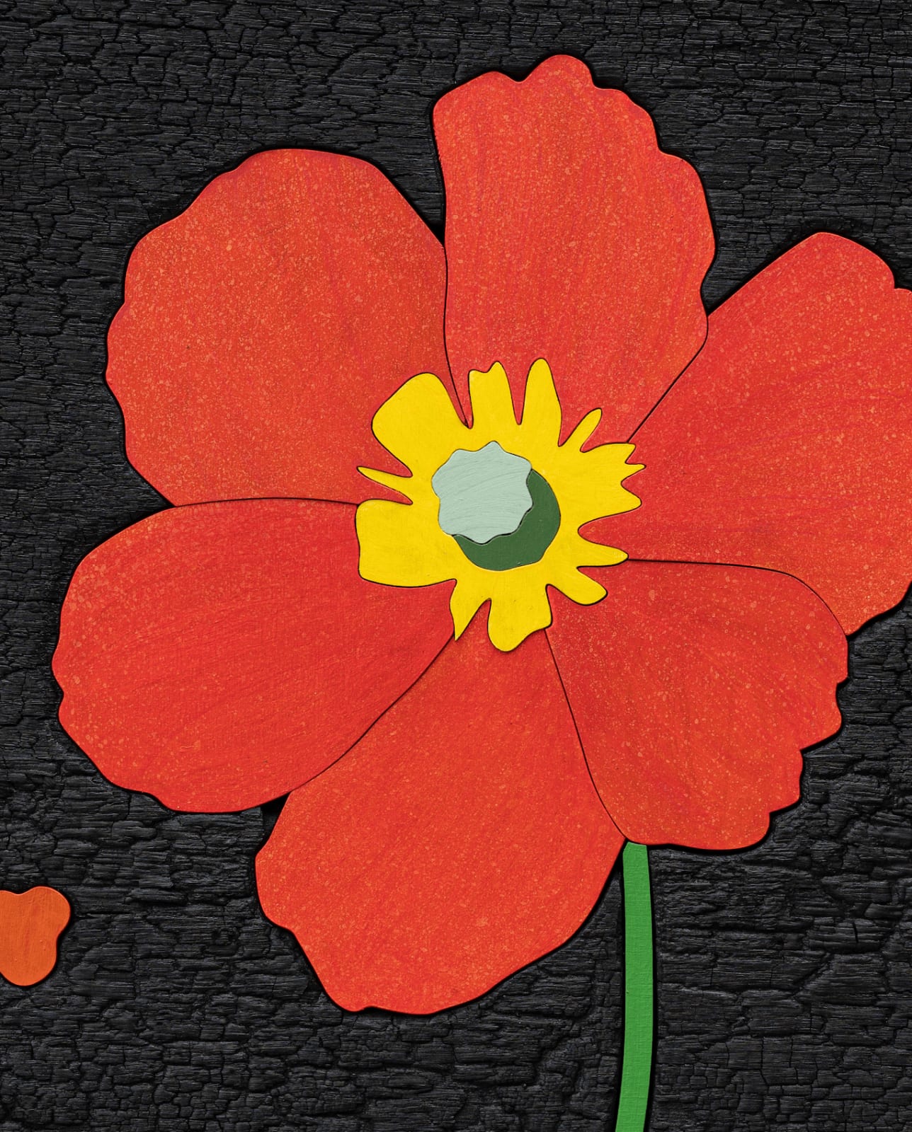 Laurent Pernot, Fire Poppy, 2024