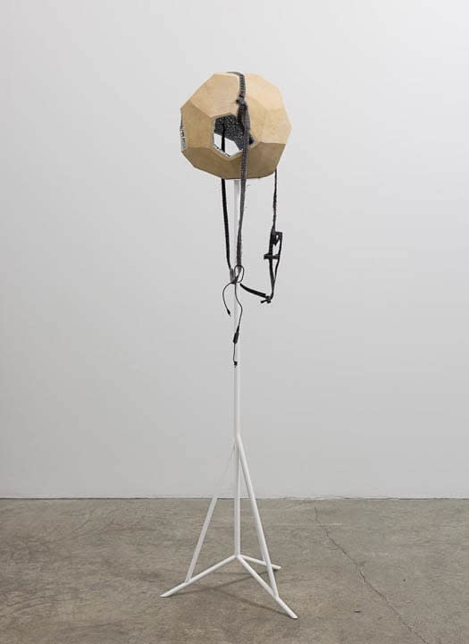 Anna Sew Hoy, Embodied Head III, 2016